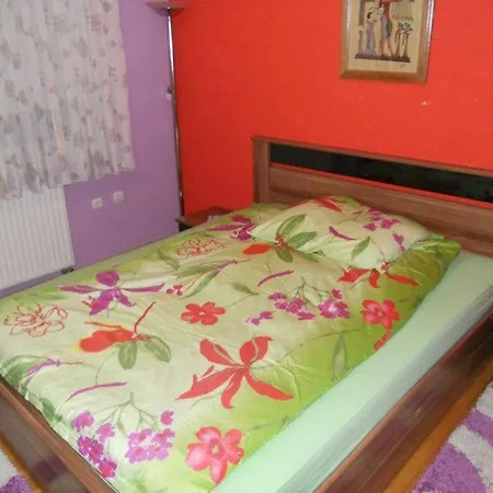 Apartment Biba - Ilijas